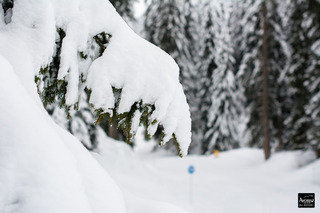 Avoriaz-05-04-15