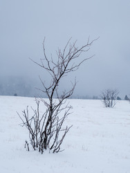 Premières neiges à Lans en Vercors