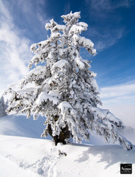 Avoriaz-06-02-15