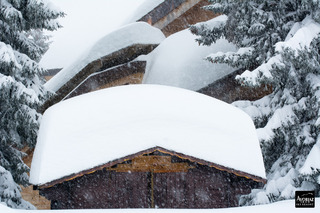 avoriaz-29-01-15