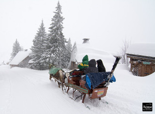avoriaz-29-01-15