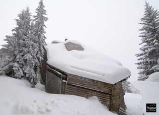 avoriaz-29-01-15