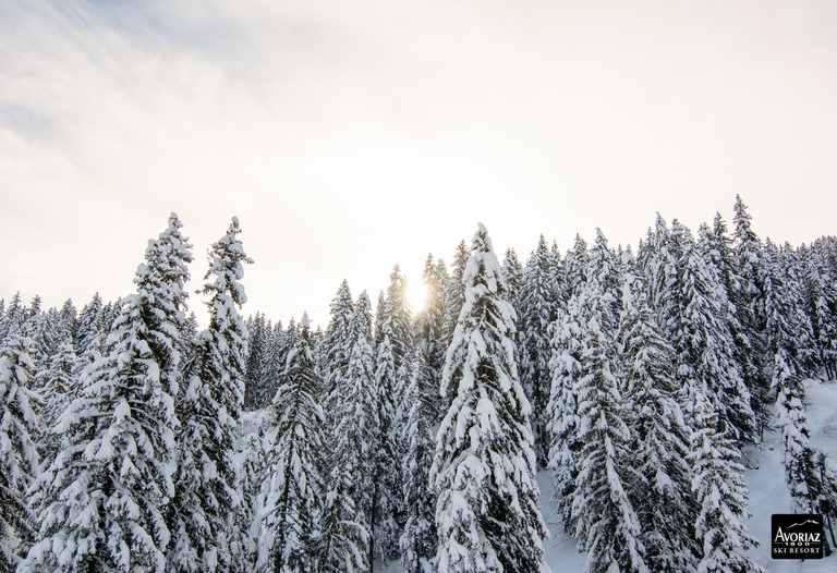 avoriaz-21-01-15