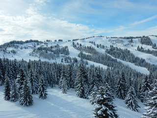 les-gets-21-01-15