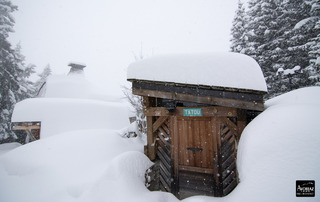 avoriaz-17-01-15