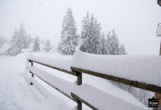 avoriaz-17-01-15