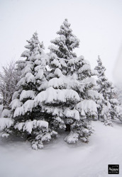 avoriaz-17-01-15