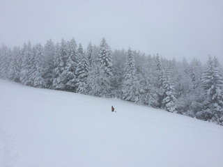 villard-de-lans-17-01-15