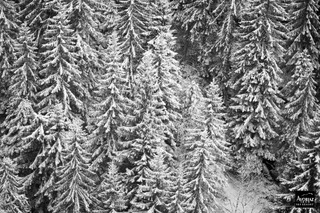 avoriaz-14-01-15