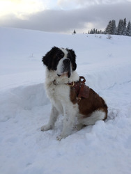 la-rosiere-29-12-14
