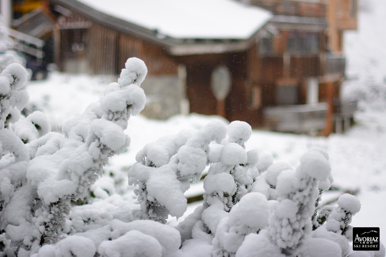 avoriaz-08-12-14