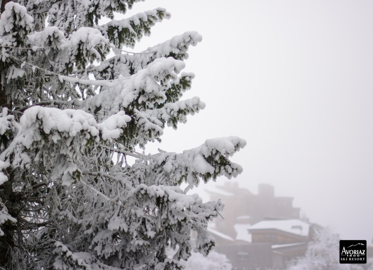 avoriaz-08-12-14