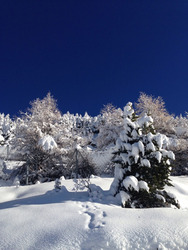 avoriaz-19-11-14