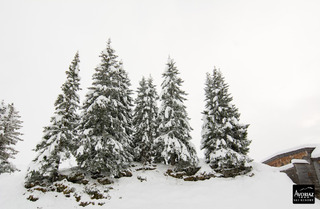 avoriaz-17-11-14