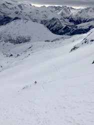 des conditions de petits porcelets ?