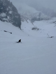 des conditions de petits porcelets ?