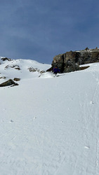 des conditions de petits porcelets ?