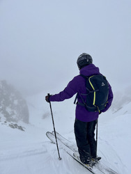 des conditions de petits porcelets ?