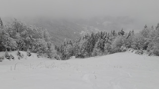 Ski agricole