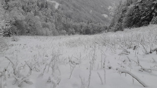 Ski agricole
