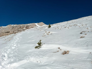 Chamechaude en mode reconnaissance…