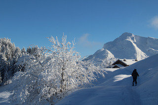 Plateau de Beauregard depuis Champ Giguet