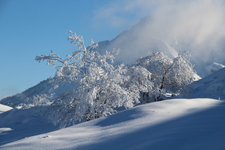 Plateau de Beauregard depuis Champ Giguet