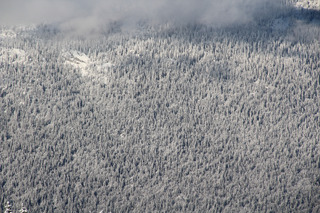 Plateau de Beauregard depuis Champ Giguet