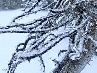 Chamechaude avant le grand rinçage...