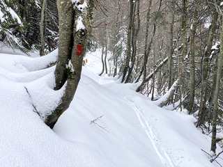 Chamechaude avant le grand rinçage...