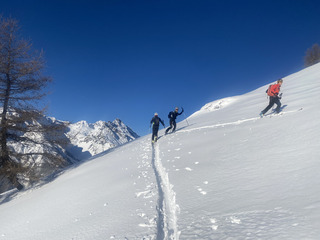 Crête du Chardonnet & cure de vitamine D