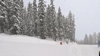 De la neige en bas !