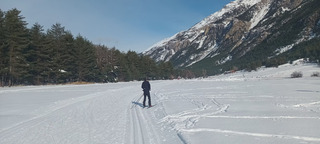 Ski de fond aux Alberts : tip top !