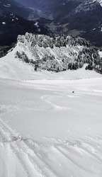 Un coup de blanc qui fait du bien