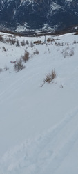 Bonnes conditions entre  printemps et hiver