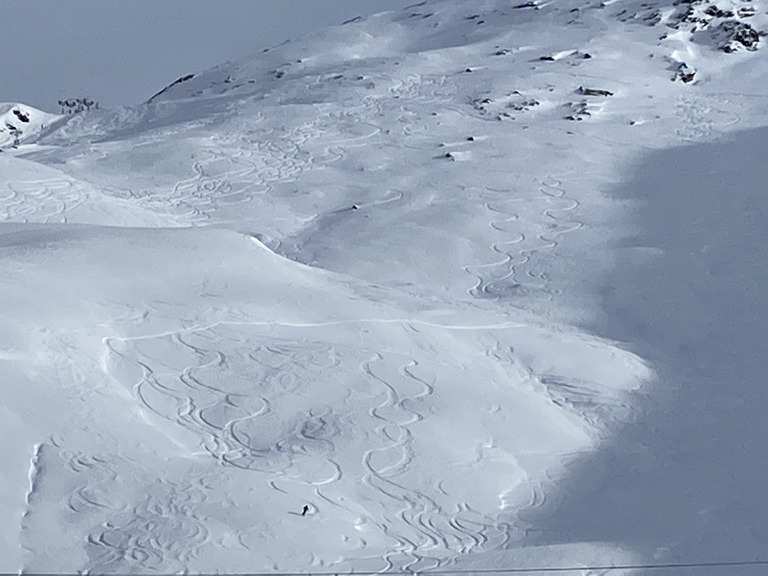 Encore un peu de fraiche avant la tempête