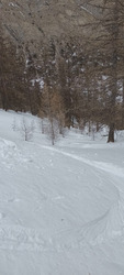 Presque parfait au Clausis 