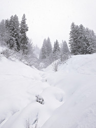 Enfin de la neige!