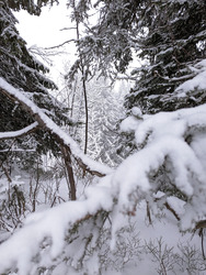 Enfin de la neige!
