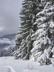 La poudre jusqu'à 900m ! 