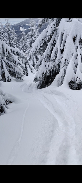 Spindleruv Mlyn : Gavage à la tchèque 