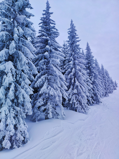 Spindleruv Mlyn : Gavage à la tchèque 