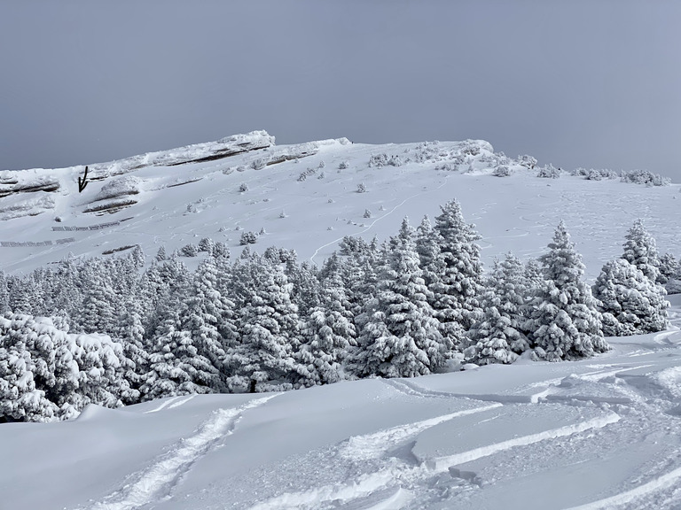 Chamechaude, rampe supérieure des paravalanches ⭐️⭐️⭐️