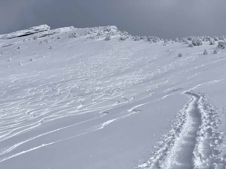 Chamechaude, rampe supérieure des paravalanches ⭐️⭐️⭐️