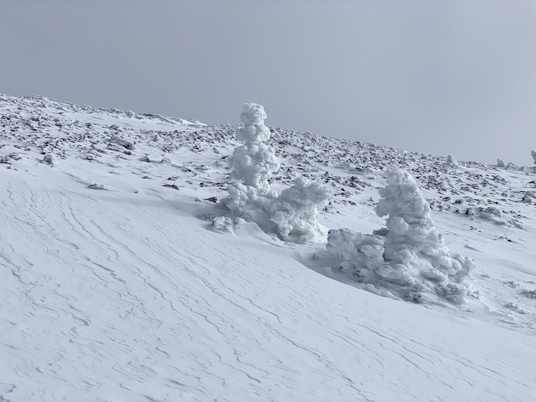 Chamechaude, rampe supérieure des paravalanches ⭐️⭐️⭐️