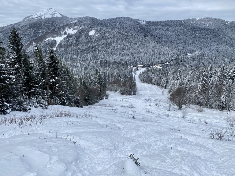 Chamechaude, rampe supérieure des paravalanches ⭐️⭐️⭐️