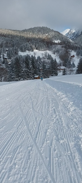 Grève buissonnière en ski de fond 