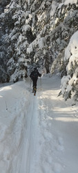 La poudre est toujours plus légère en Chartreuse 