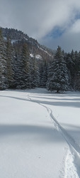 La poudre est toujours plus légère en Chartreuse 