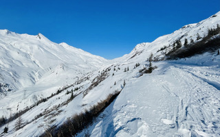 Pas trop mal au dessus de 1500m, très limite en dessous